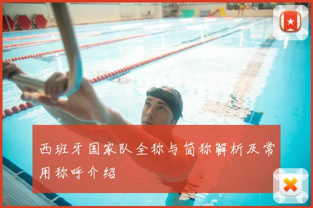 西班牙国家队全称与简称解析及常用称呼介绍