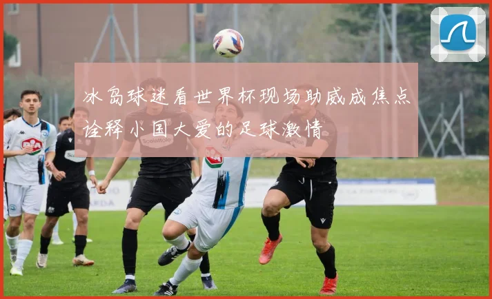 冰岛球迷看世界杯现场助威成焦点诠释小国大爱的足球激情