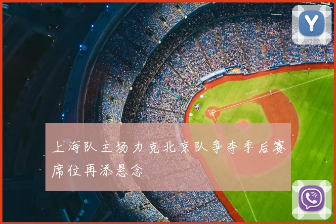 上海队主场力克北京队争夺季后赛席位再添悬念