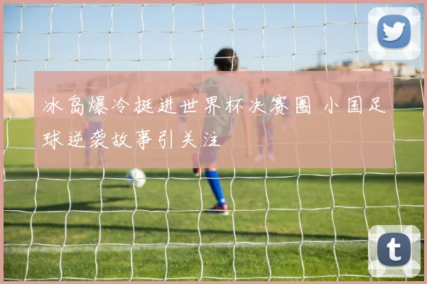 冰岛爆冷挺进世界杯决赛圈 小国足球逆袭故事引关注