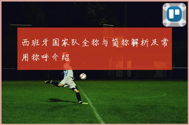西班牙国家队全称与简称解析及常用称呼介绍