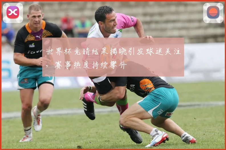 世界杯竞猜结果揭晓引发球迷关注，赛事热度持续攀升