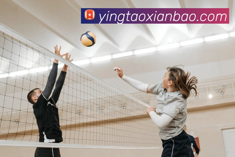 emc易倍全站网页版平台生态图